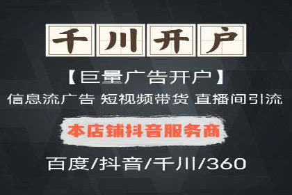 成功运用SEM服务实现品牌推广的案例分析